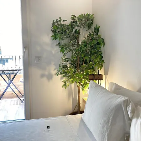 Homestay New In The Valencia