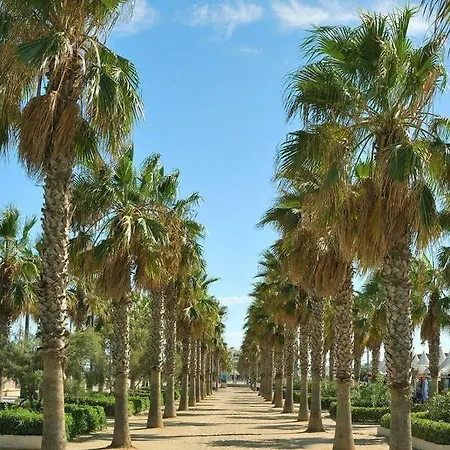 Homestay New In The Valencia