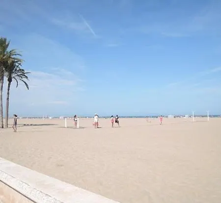 New In The Valencia
